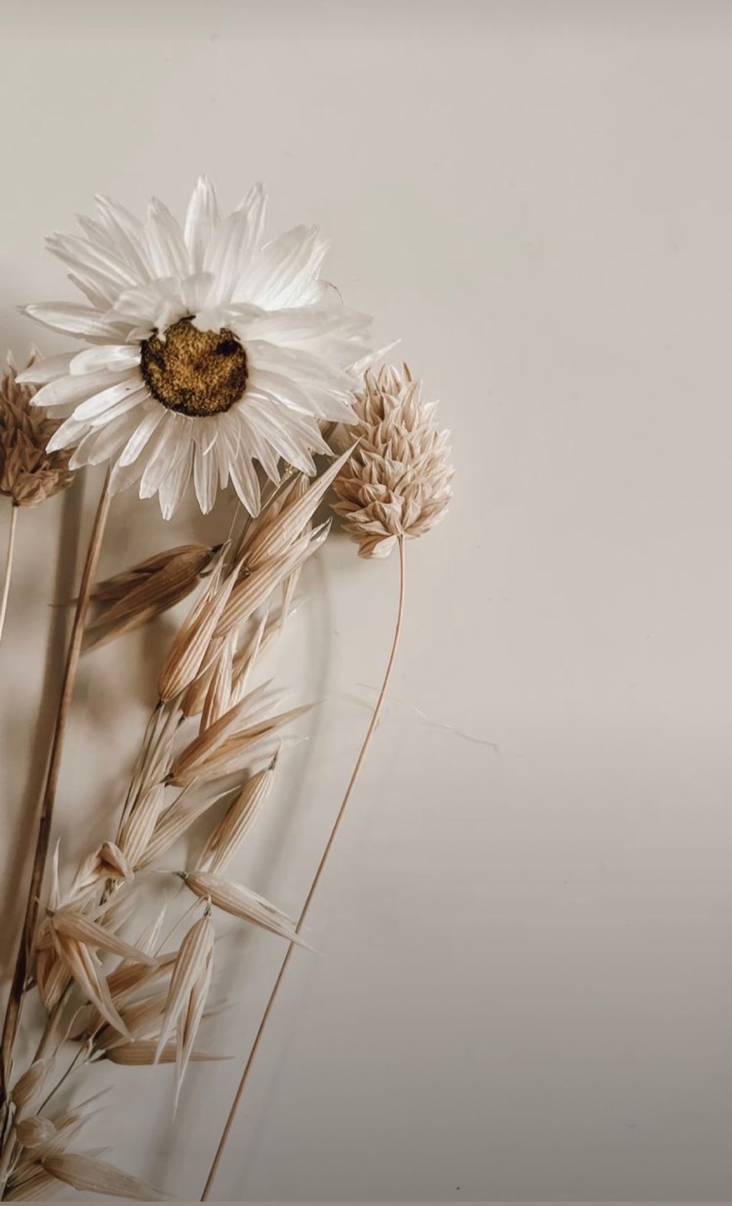 “I believe, but help my unbelief!” – Giving Your Doubt To&nbsp;God