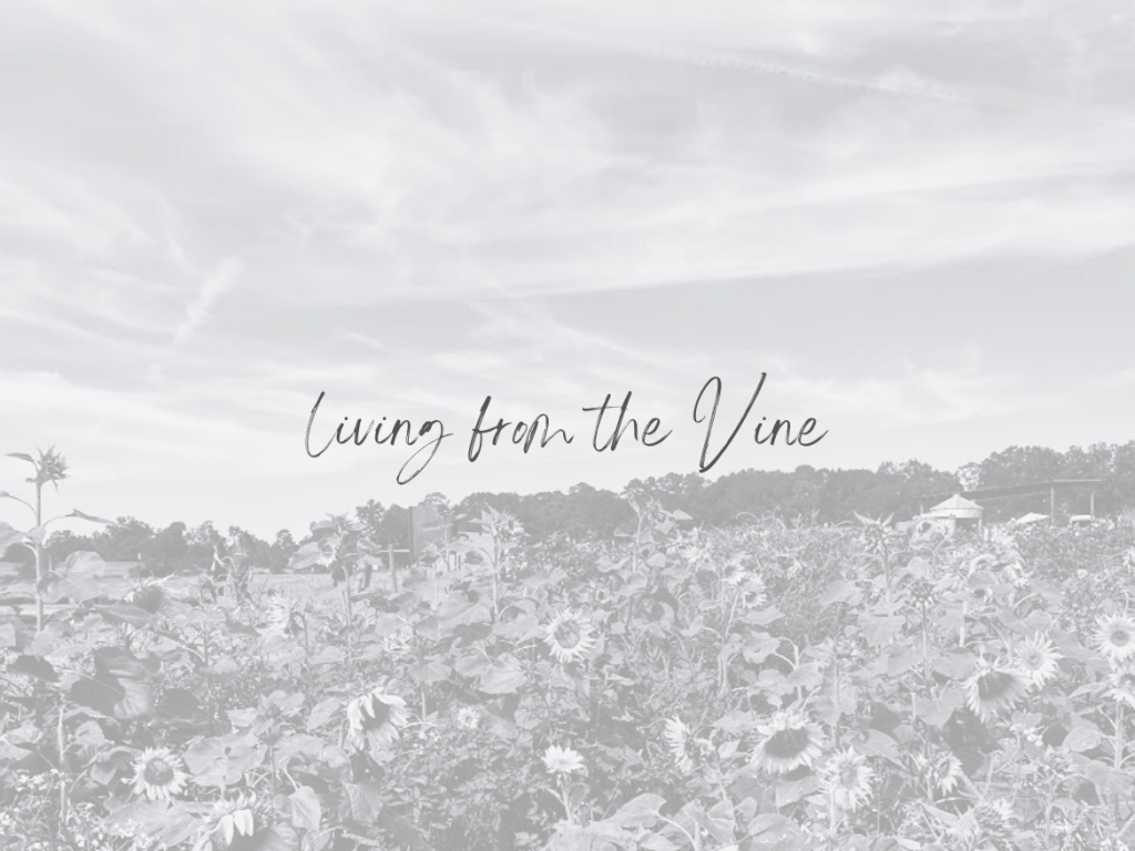 Living From the&nbsp;Vine