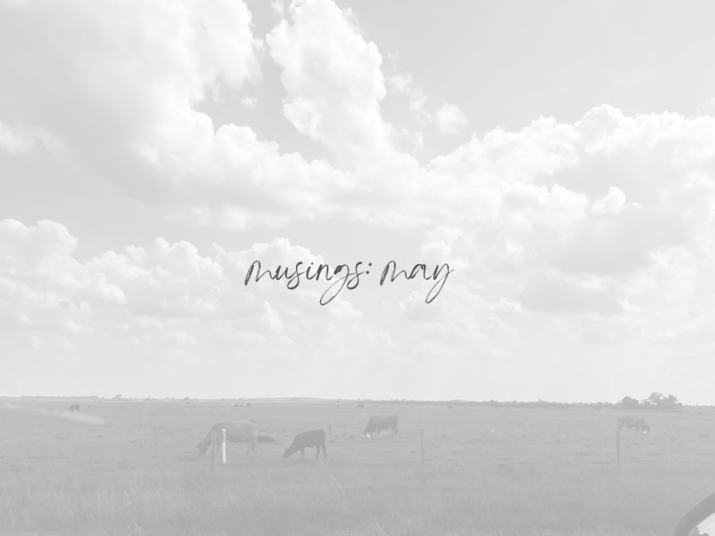 May Musings: Humility on the Search for&nbsp;Wisdom