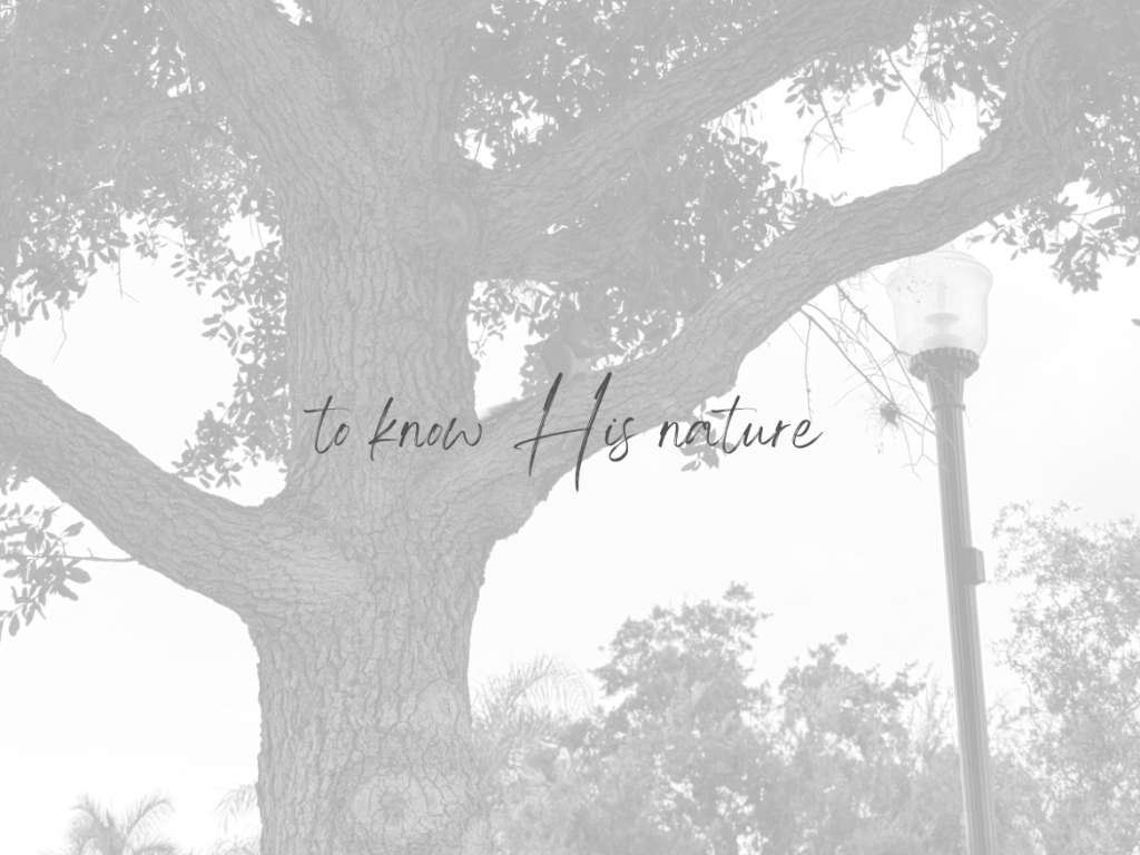 To Know His&nbsp;Nature