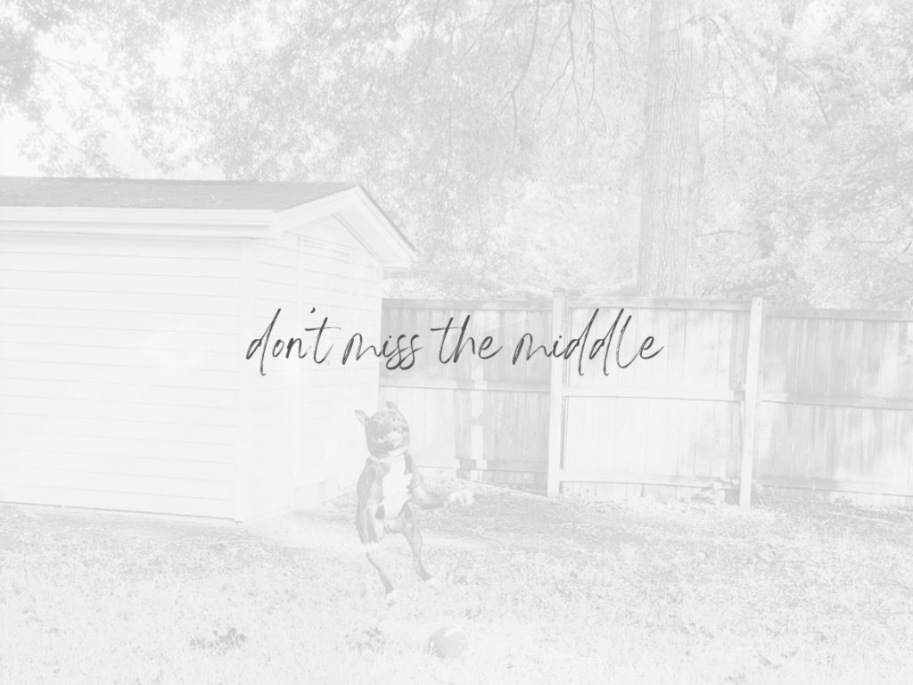 Don’t Miss the Middle – Finding God in the Seasons We Want to&nbsp;Escape